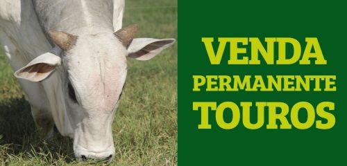 Venda Permanente